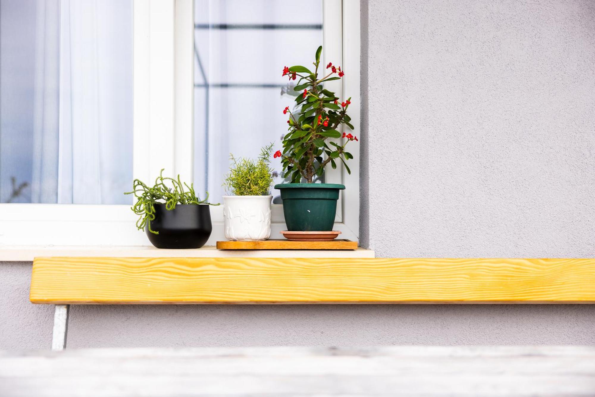 Apartman Nora Omis Luaran gambar